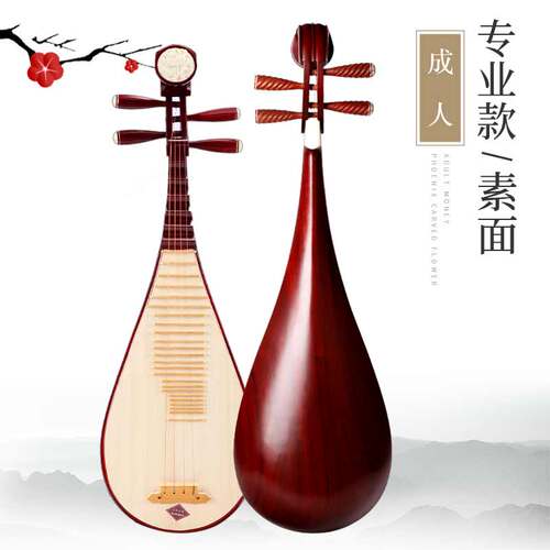 琵琶乐器初学入门儿童成人演奏考级手工红木花梨木琴盒民族乐器成