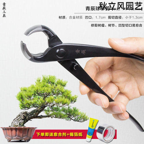盆景修枝剪斜口球形剪破杆钳园艺专用造型制作工具套装青辰中号21