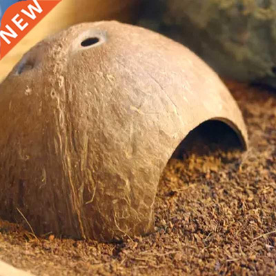 Reptile Hide Habitat Natural Coconut Shell Lizard Spider