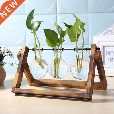 Glass and Wood Vase Planter Terrarium Table Desktop Hydropon