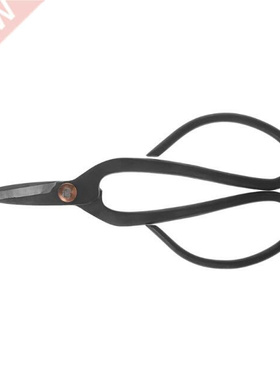 Beginner Cbon Steel Household Bonsai Tools Scissors Gden
