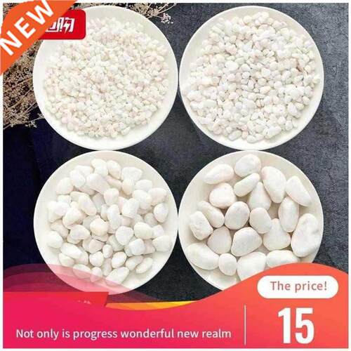 Garden supplies white pebbles one succulent landscape