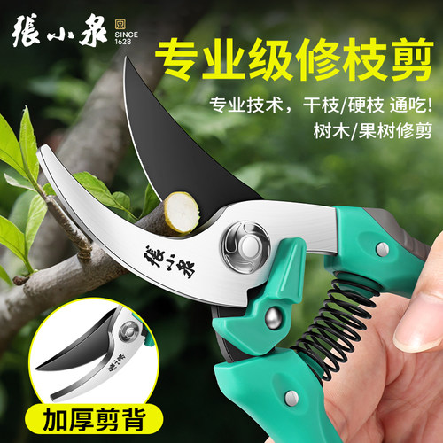张小泉园艺剪刀修枝剪神器花艺剪