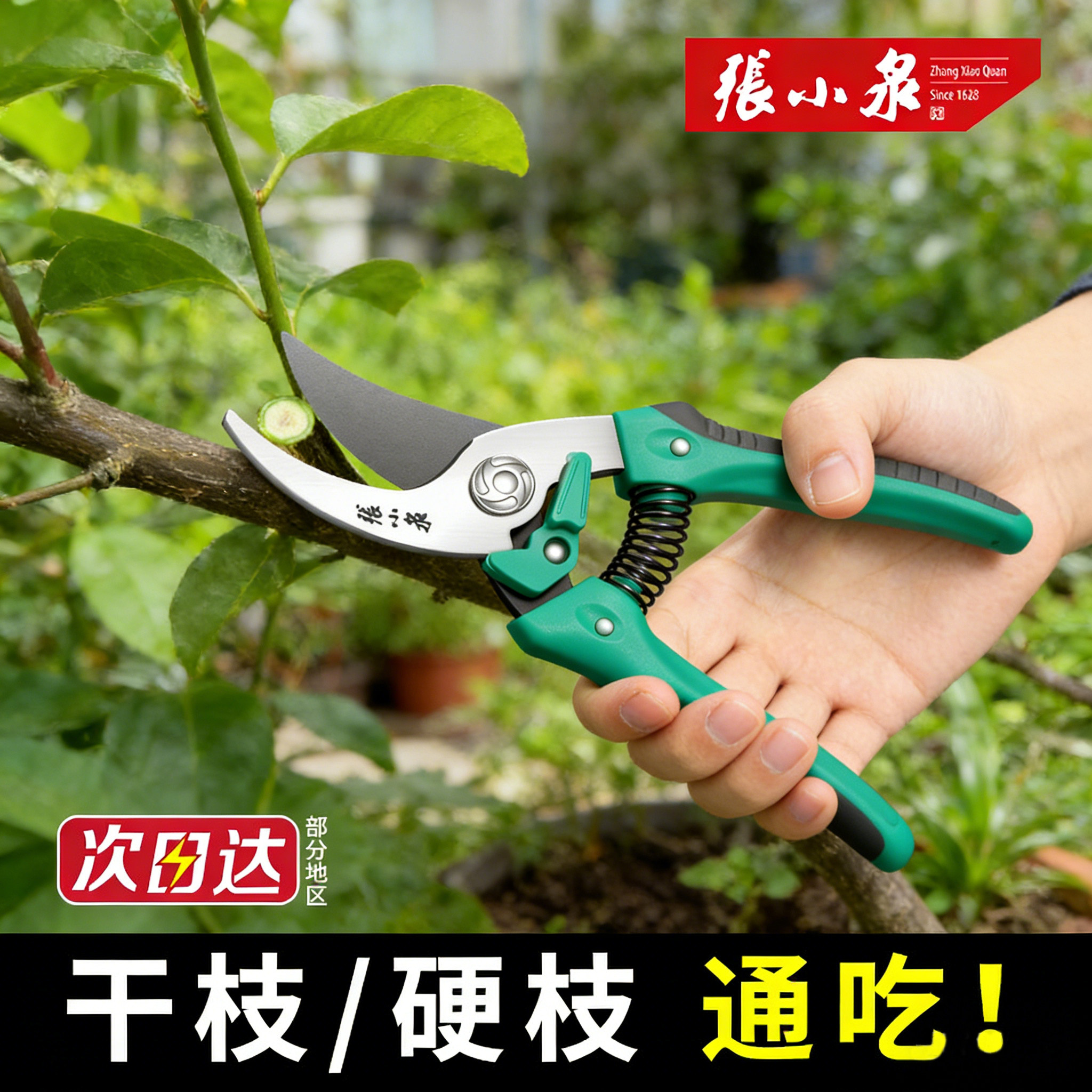 张小泉修枝剪刀果树园林专用