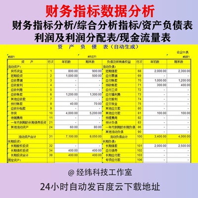 财务指标数据分析excel模板自动生成报表偿债运营获利发展能力