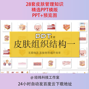 美容师皮肤护理基础知识培训课件PPT模板护肤肌肤皮肤讲座