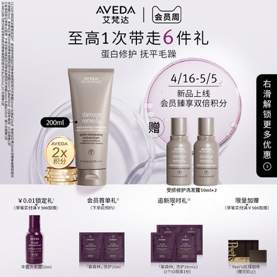 【抢限时礼】Aveda艾梵达蛋白修护发乳染烫漂润防断发护发素