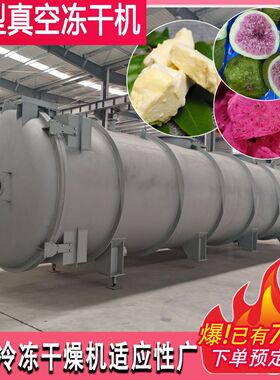 益生菌冻干粉低温干燥机 冲泡即食免煮免炖银耳羹真空冻干机