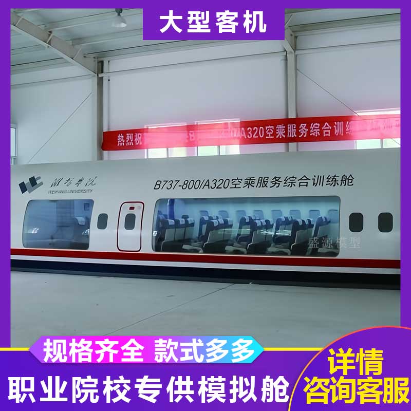 大型仿真客机模拟舱逃生舱飞机航空教学训练舱影视拍摄基地摆件