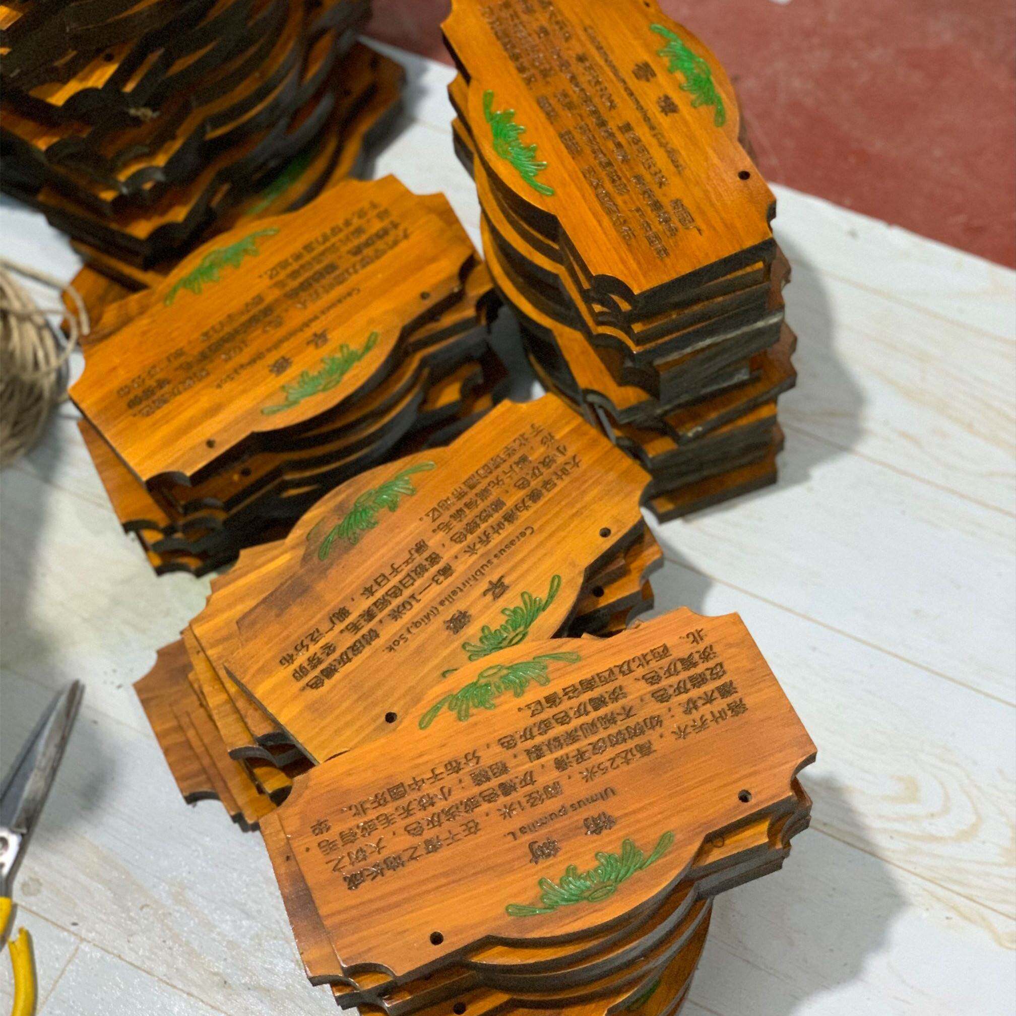 定制花草地牌树牌户外插地牌防腐实木质牌简介植物挂牌悬挂式标牌