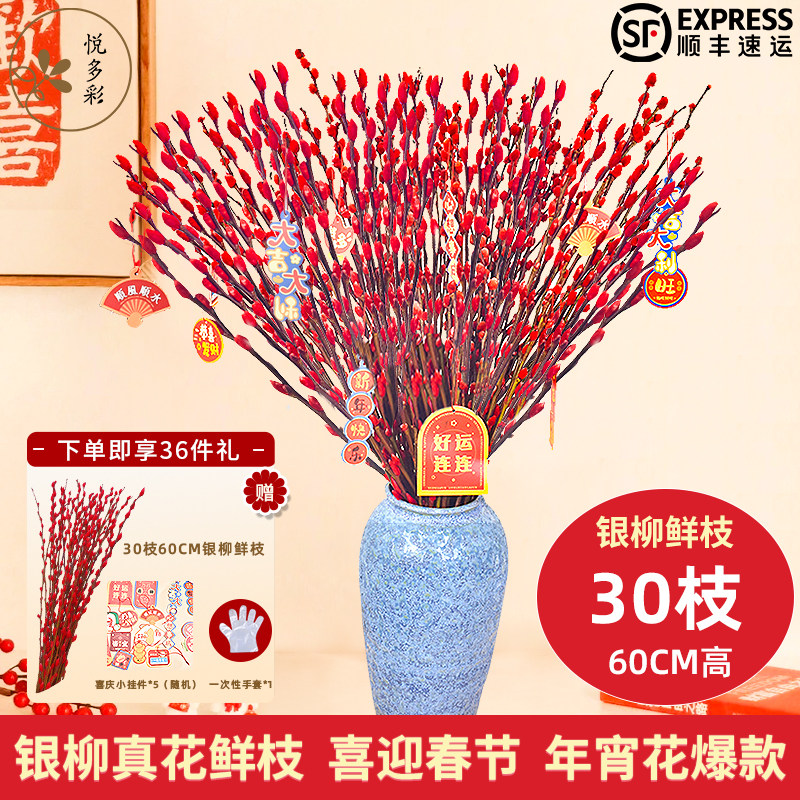 悦多彩A级招财红色银柳鲜枝水养基地直发年宵真花包邮喜庆年货