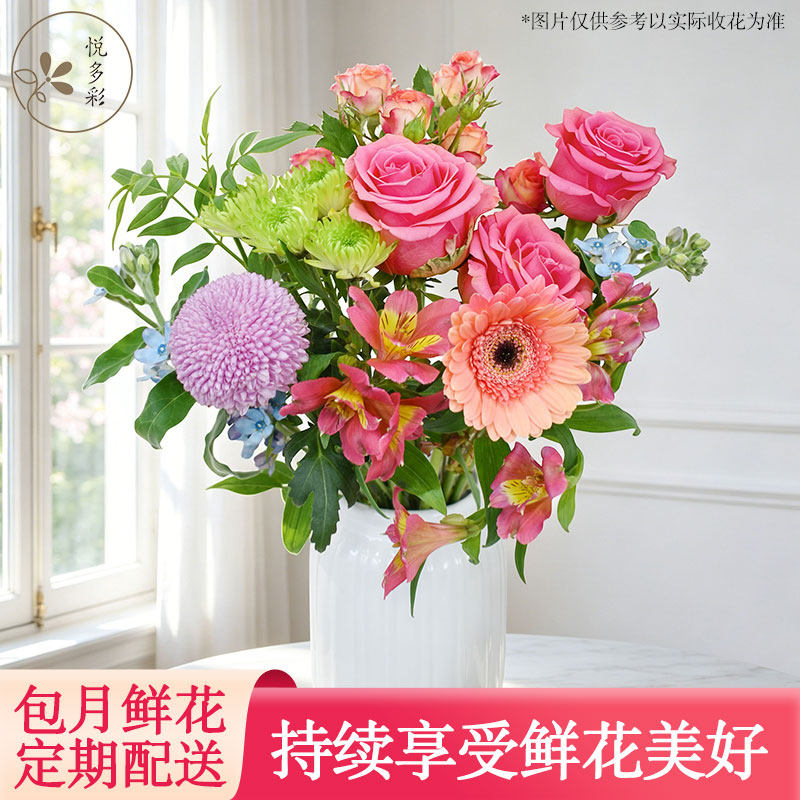 室内混搭花束教师节设计鲜切花花卉云南基地顺丰直发鲜花插花花材