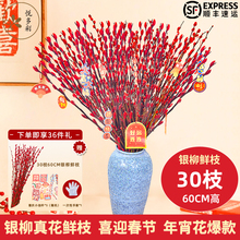 【悦多彩旗舰店】💎A级银柳20枝+5个挂件 鲜活真枝