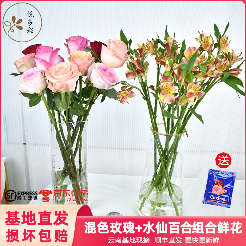 AB级混色玫瑰水仙百合蓝星花