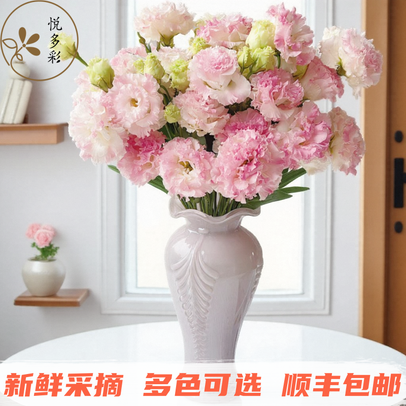 悦多彩大花量洋桔梗室内鲜切花