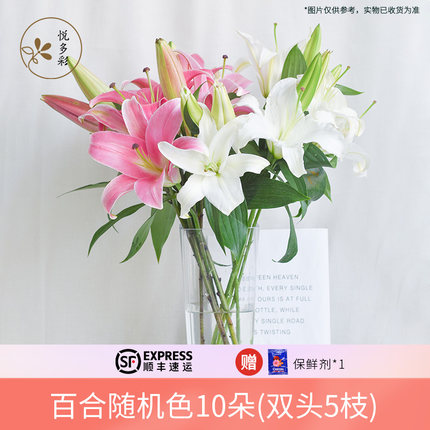 ab级百合鲜花香水百合鲜花基地直发鲜切花水养百合插花悦多彩鲜花
