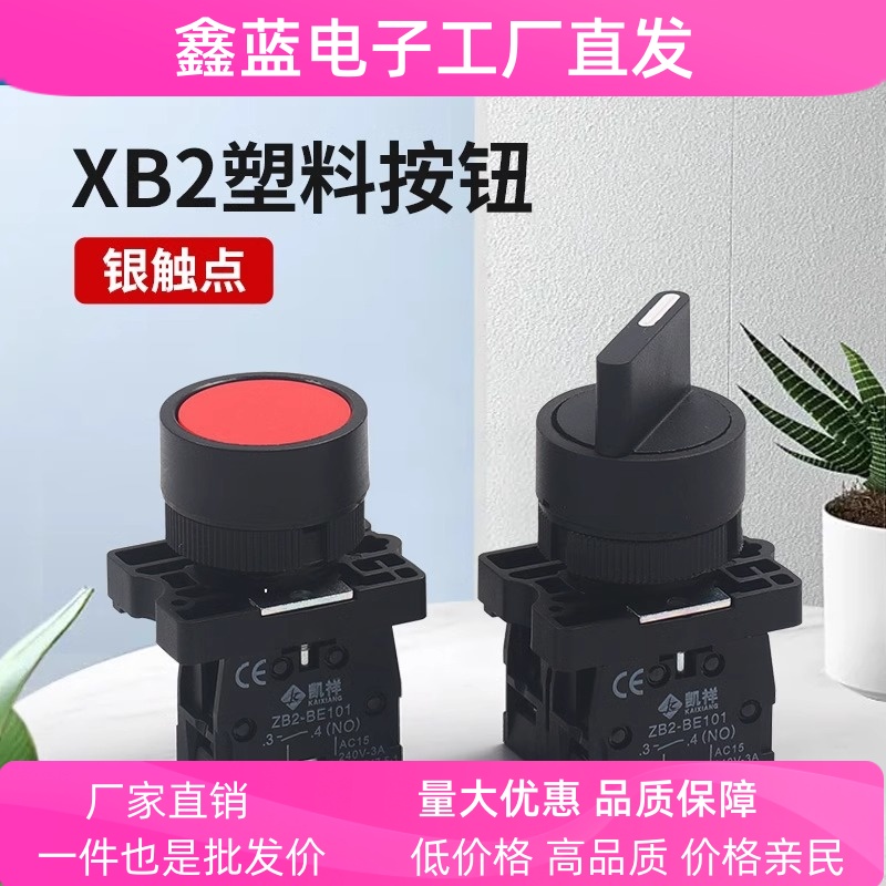 自复位平头启动电源按钮开关 XB2-EA42/31 XB2-ED25旋钮自锁二档