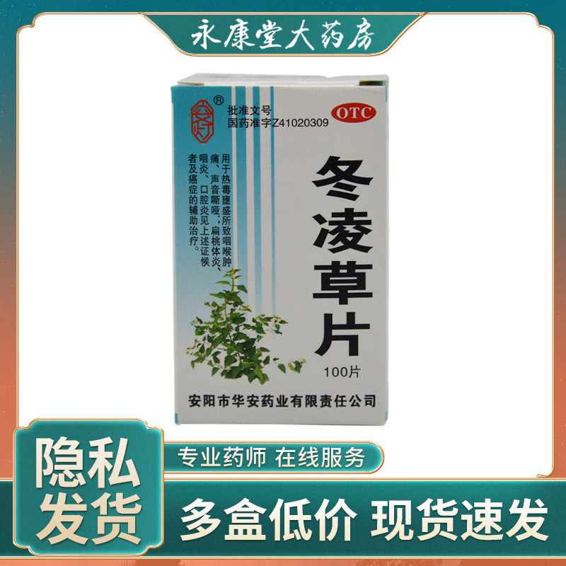 安灯 冬凌草片100片/盒 清热解毒消肿散结扁桃体炎咽炎口腔炎