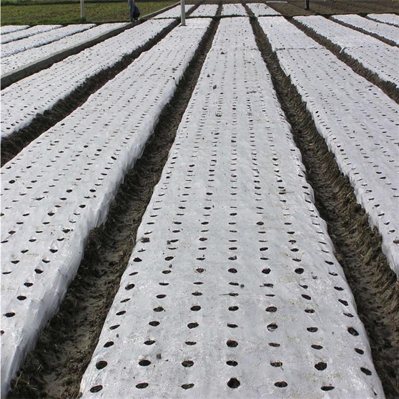 保温膜草莓种植农用膜 果树专用银黑地膜农用白色保温膜上海发货
