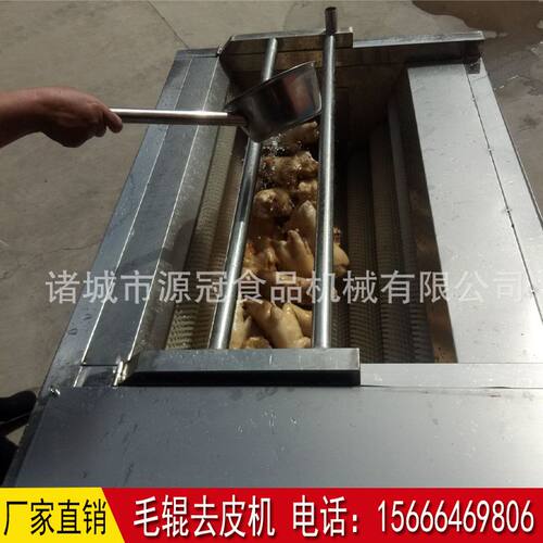 厂家供应毛辊清洗机 土豆清洗脱皮机 莲藕去泥机 源冠制造
