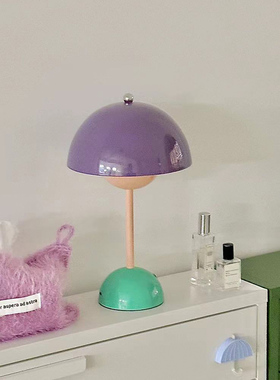 一间公寓家居ins风丹麦花苞灯台灯撞色氛围灯充电小夜灯礼物