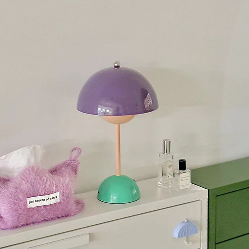 一间公寓家居ins风丹麦花苞灯台灯撞色氛围充电小夜灯圣诞礼物