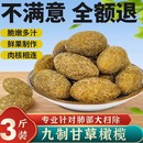 甘草橄榄咸甜潮汕特产果干九制橄榄官方旗舰店盐津橄榄条蜜饯果脯