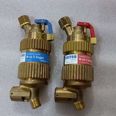 302976 183970 FLASHBACK ARREST