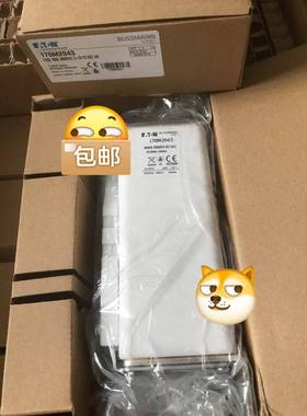 高铁专用巴斯曼熔断器170M2043 2000V DC 4