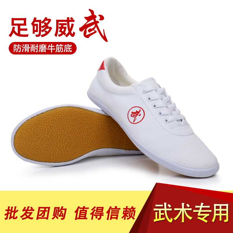 温罗迪武术鞋防滑耐磨