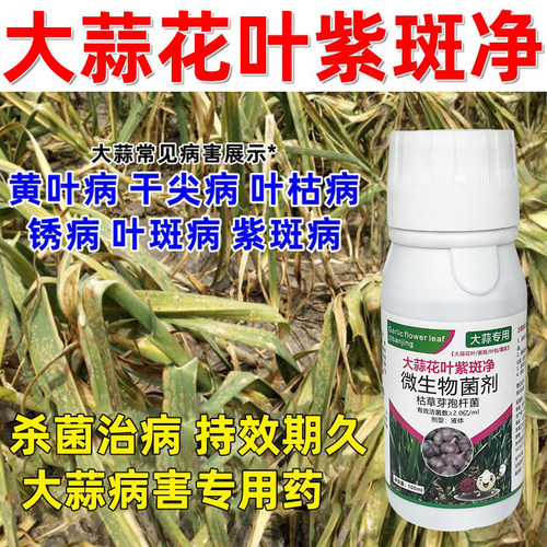 大蒜专用防治花叶病紫斑病叶枯病干尖黄叶病锈病蒜苗专用