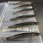 泊翘沉水铅笔5支路亚假饵远投缓沉颤沉响珠12支送饵盒袋装鱼白湾