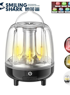 Outdoor camping atmosphere lights waving induction colorful