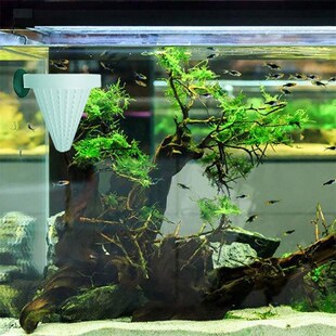 6 Pcs Aquarium Red Worm Feed Cone Feeding Live Brine Shrimp