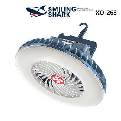 Outdoor camping light tent light LED lighting fan light