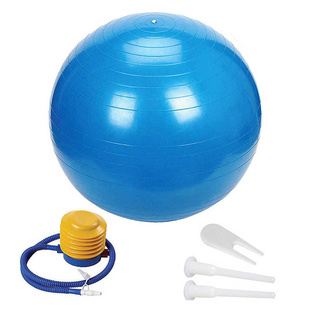 Sports Yoga Balls Balance Bola Pilates Fitness Ball with