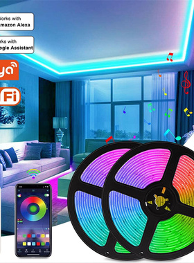 RGB Tape Tuya WiFi Smart LED Strip 12V 5050 lumiere led Ribb