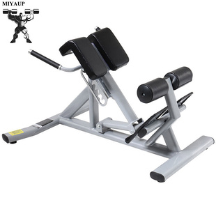 MIYAUP-Roman Bench Fitness Chair Waist and Abdominal and