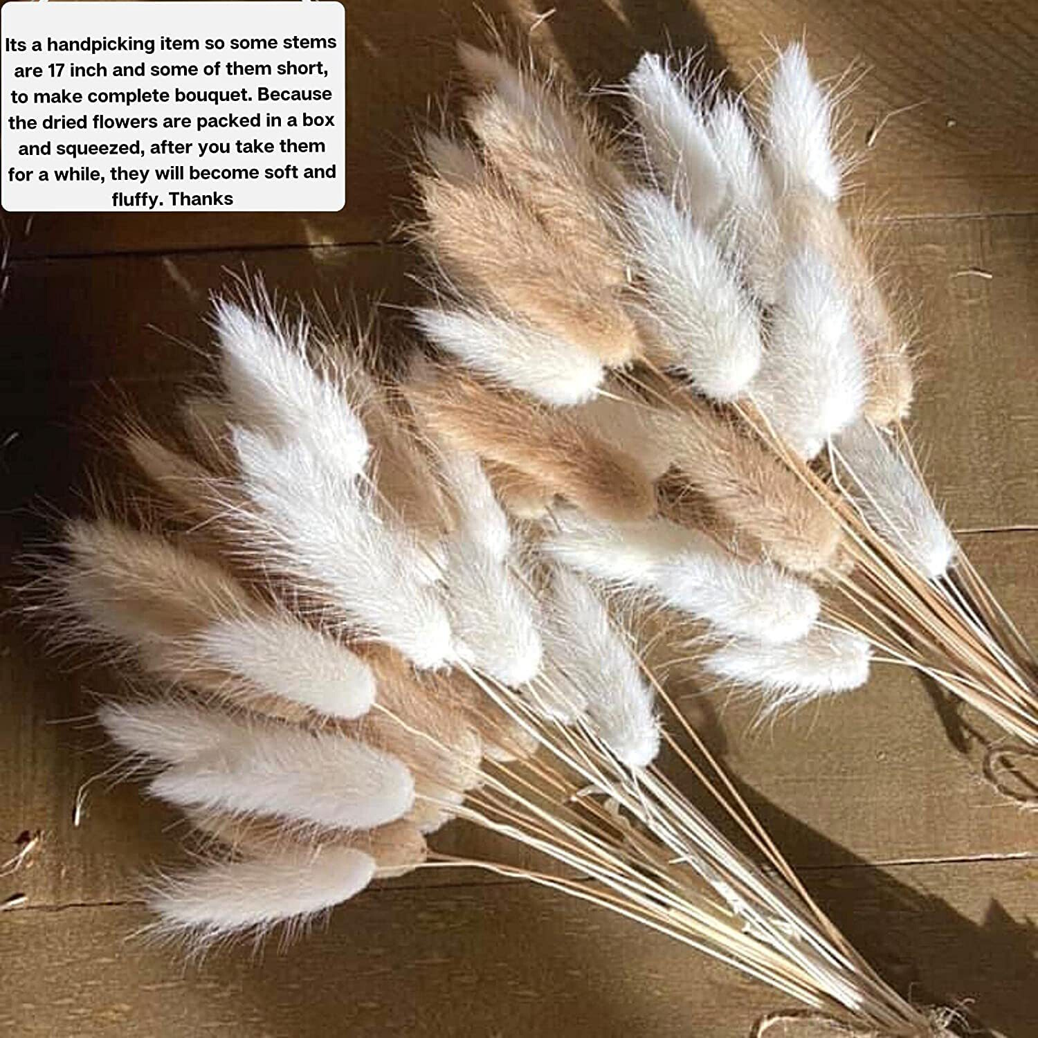 60Pcs Mix Lagurus Bunny Tails Pampas Grass Decor Home Cake