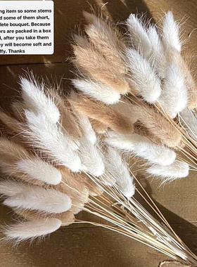 60Pcs Mix Lagurus Bunny Tails Pampas Grass Decor Home Cake