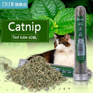 New 40ml Natural Catnip Cat Kitten Menthol Flavor Pet For I