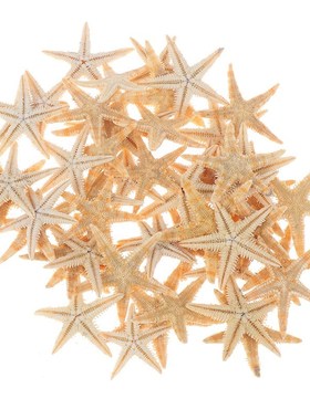 100pcs  Sea Shells Size0.5-3cm Mini Starfish Craft Decorati