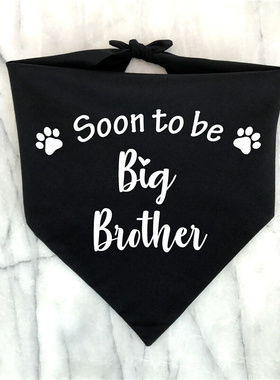 Big Brother Big Sister Dog Bandana Pregnancy Announcement