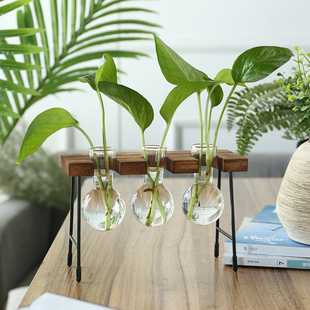 Creative Wooden Frame Hydroponic Plant Container Glass Bulb