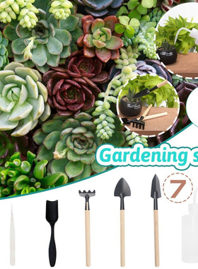 7pcs/set Mini Gardening Tools Wood Handle Stainless Steel跨