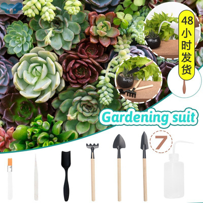 7pcs/set Mini Gardening Tools Wood Handle Stainless Steel跨