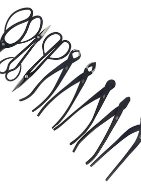 Bonsai Pruning Tool Shear Wire Cutter Garden Extensive跨境专