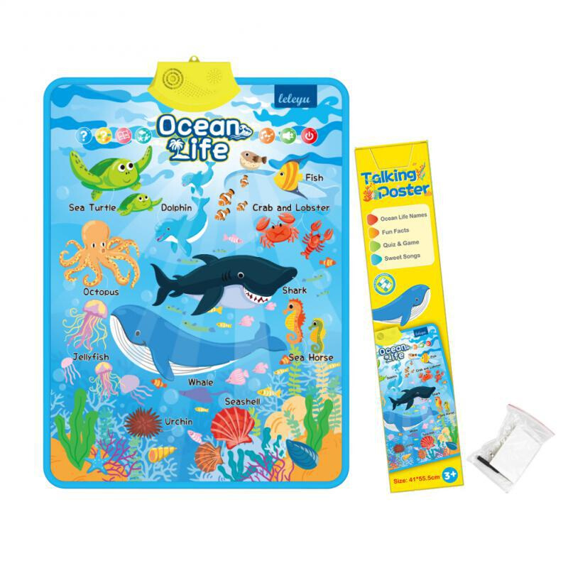 Learning English Wall Chart Early Education Pvc Educational