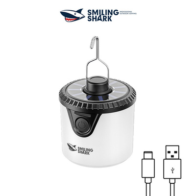 Outdoor camping light with electronic display output LED