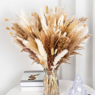 Dried Pampa Natural Decoratio Pampas Grass White Bed